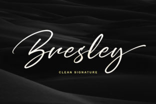 Bresley: Bold Handwritten Charm
