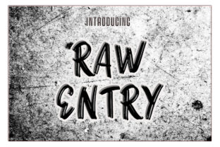 Raw Entry Handwritten Font