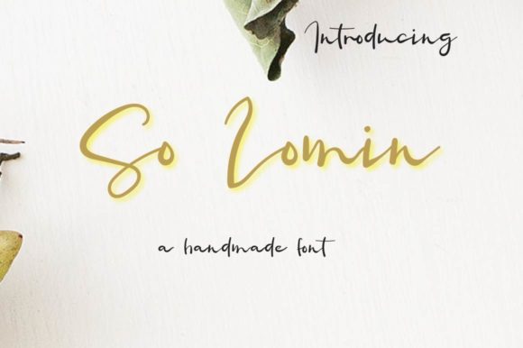 So Lomin: A Handwritten Font That Adds Warmth, Personality, and Standout Clarity to Real Design Work